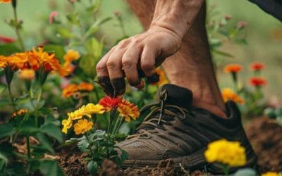 Alte Laufschuhe bei der Gartenarbeit